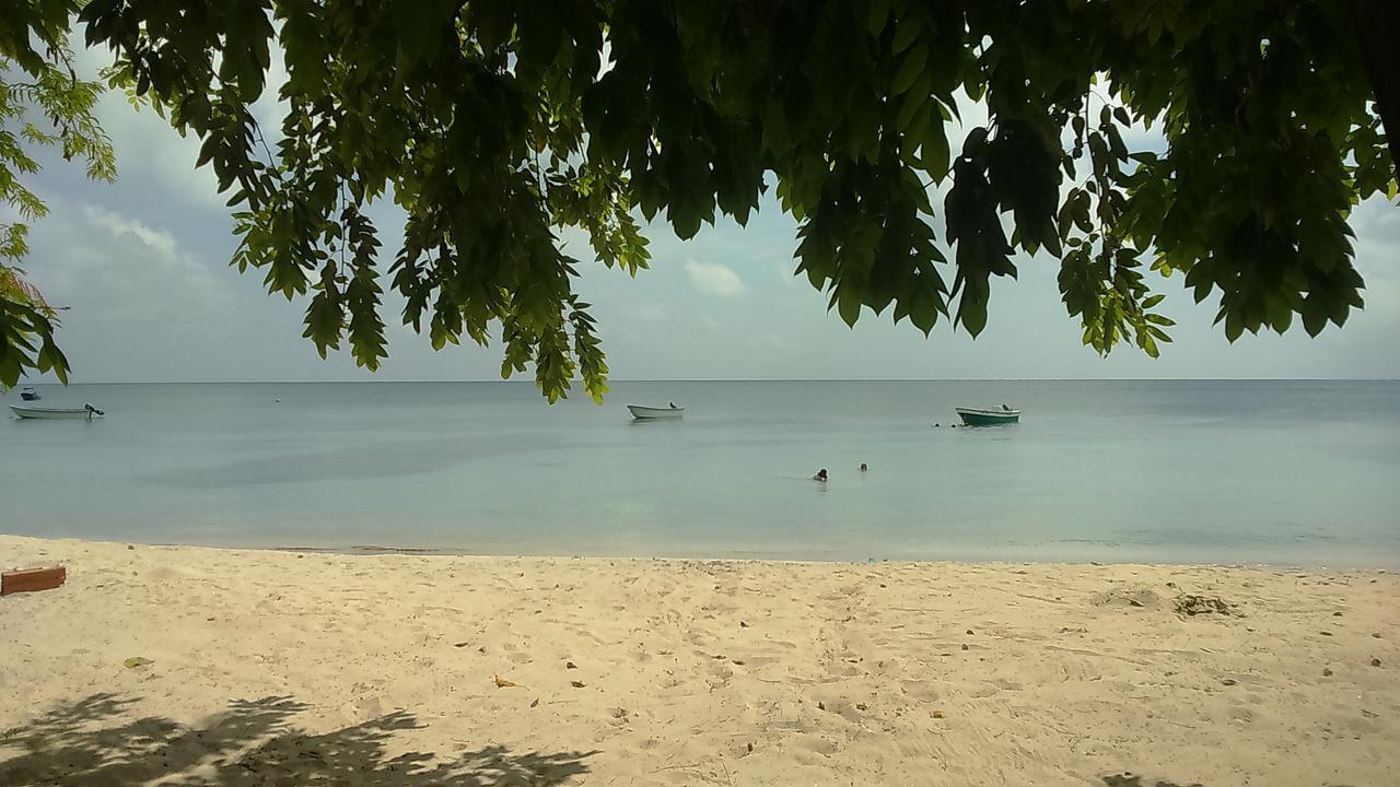 Posada Miss Portia South West Bay Zewnętrze zdjęcie