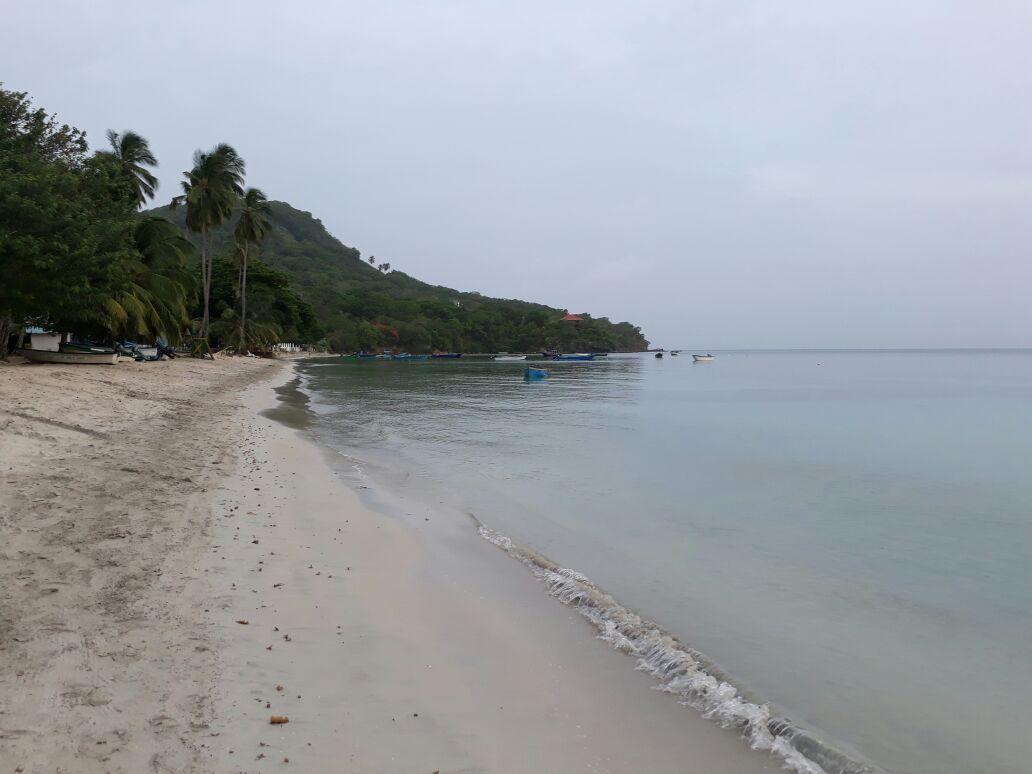 Posada Miss Portia South West Bay Zewnętrze zdjęcie