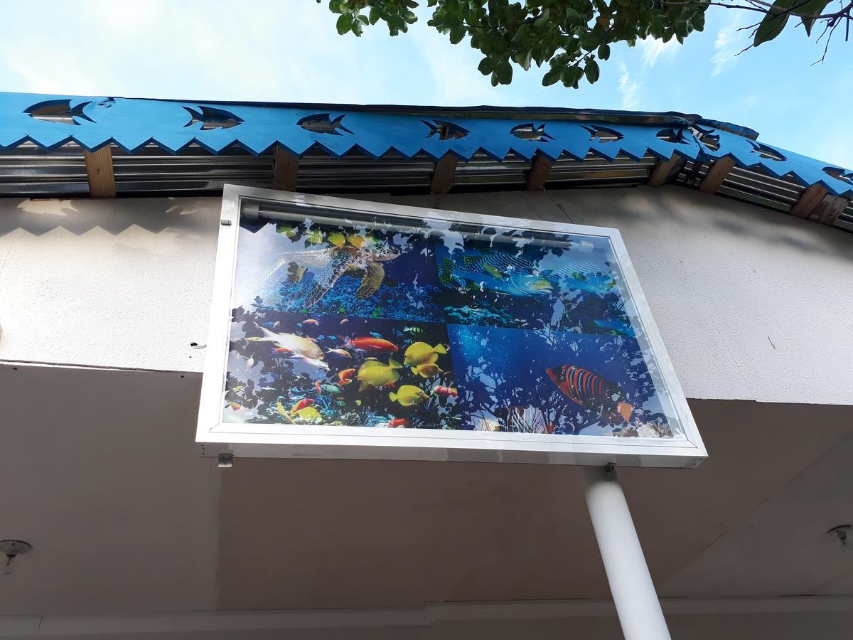 Posada Miss Portia South West Bay Zewnętrze zdjęcie
