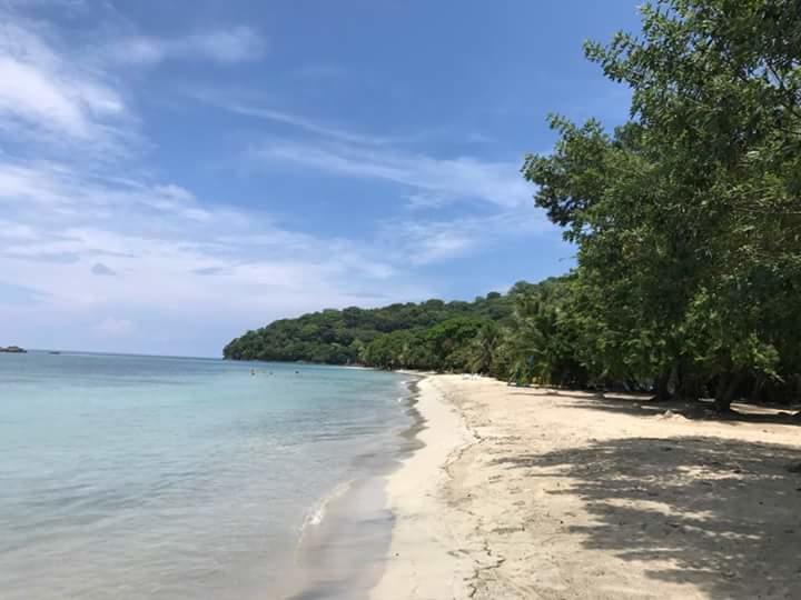 Posada Miss Portia South West Bay Zewnętrze zdjęcie